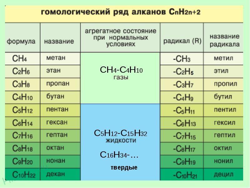 Примеры гомологов в биохимии: